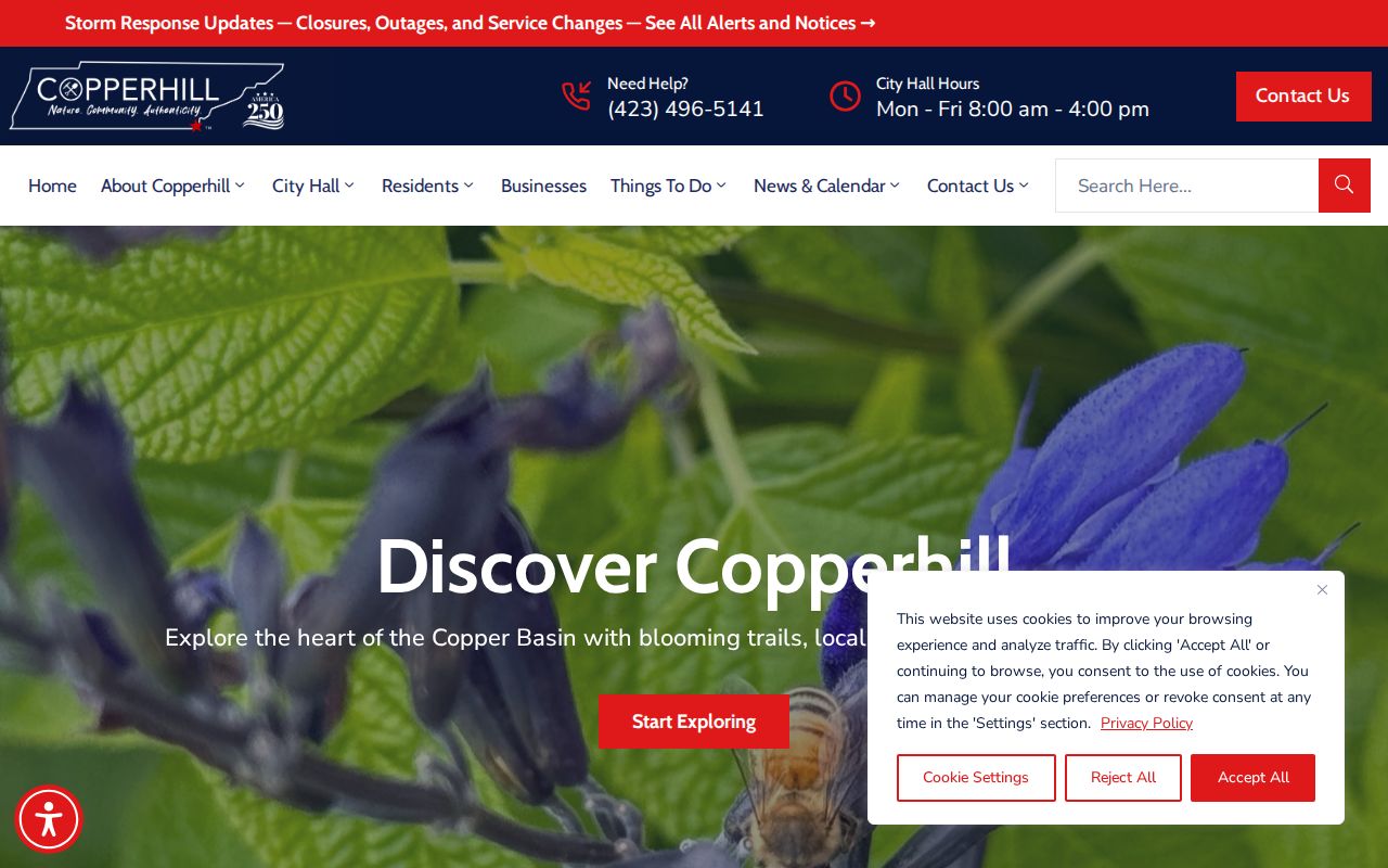 Copperhill criminal records official city website